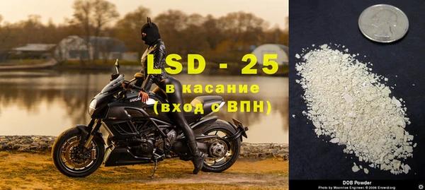 сатива Дмитровск
