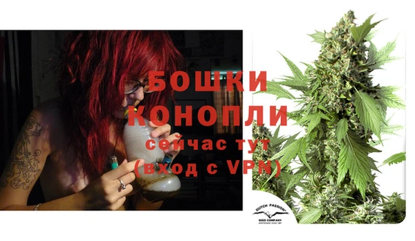 прущие крисы Дмитров