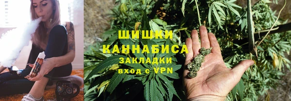 дмт Шали
