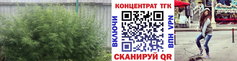 купить наркоту  hydra ссылки  Дистиллят ТГК THC oil  Злынка 