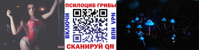 купить наркотик Злынка Псилоцибиновые грибы Cubensis